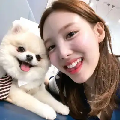 董子宸